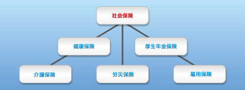 社会保険料適正化 社会保険料適正化